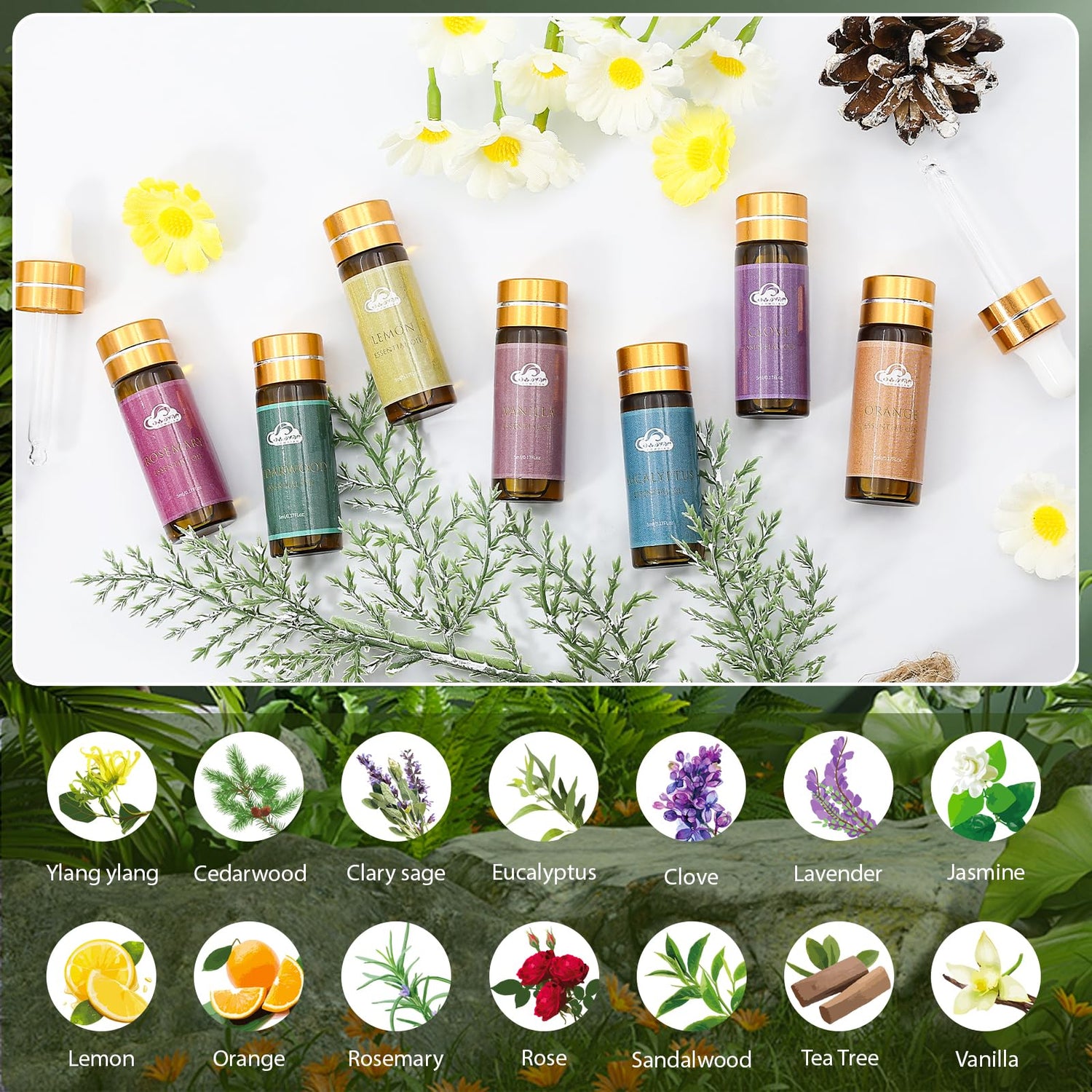 Aromatherapy Oils